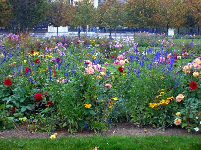 gardenofthetuilleries.jpg