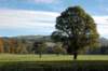 c_blaircastlegrounds_small.jpg