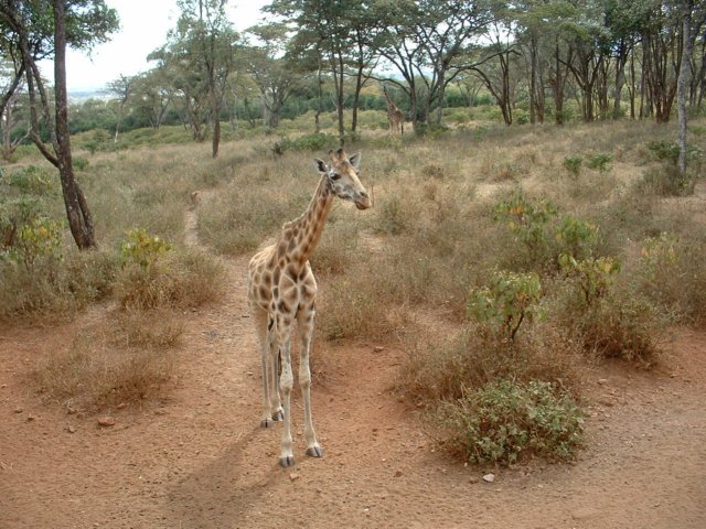 Photograph