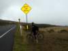 _bikingsign1_small.jpg
