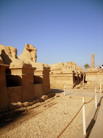 f_sphinxes.jpg