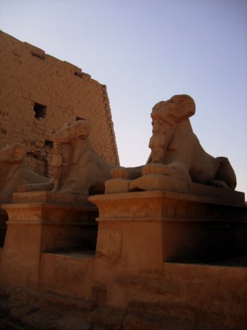 g_sphinxes2.jpg