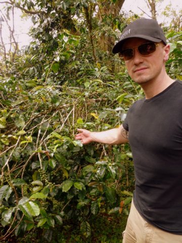 _coffeefarm4.jpg