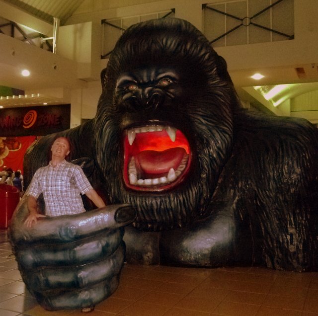 _gorilla1.jpg