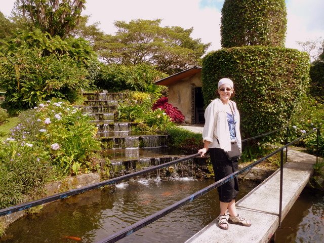 _mijardinessujardin2.jpg