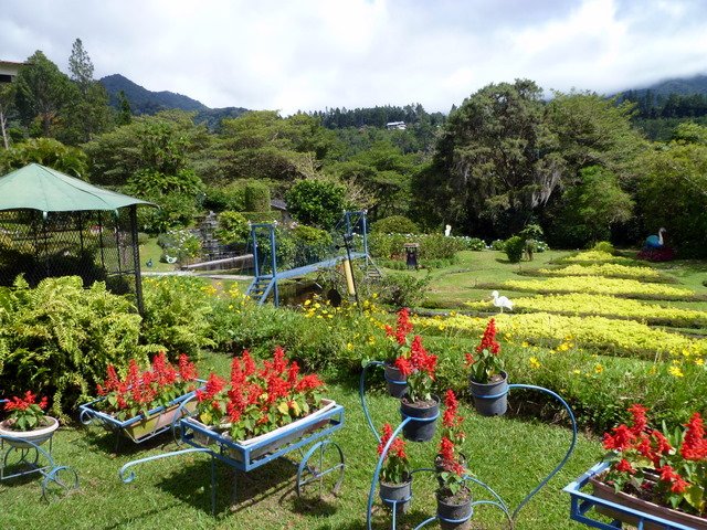 _mijardinessujardin5.jpg