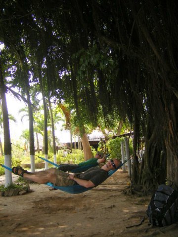 hammock.jpg